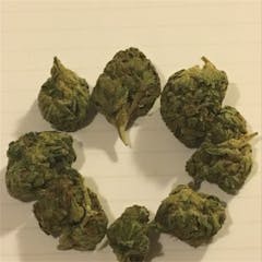 User uploaded image of Cannalope Haze
