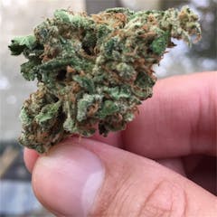 User uploaded image of Cannalope Haze