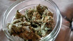 User uploaded image of Cannalope Kush