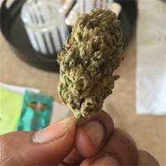 User uploaded image of Cannalope Kush