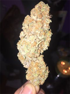 User uploaded image of Cannalope Kush
