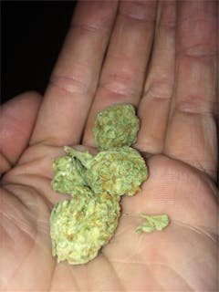 User uploaded image of CannaSutra
