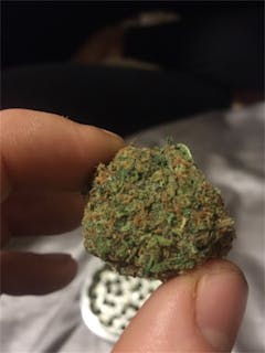 User uploaded image of CannaSutra