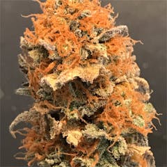 User uploaded image of Cannatonic