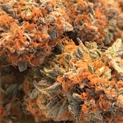 User uploaded image of Cannatonic
