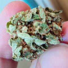 User uploaded image of Capers