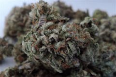 User uploaded image of Capers