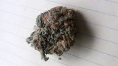 User uploaded image of Captain America OG