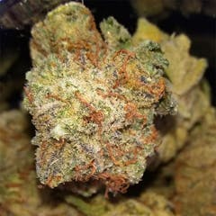 User uploaded image of Captain's Cake