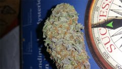 User uploaded image of Caramel Candy Kush