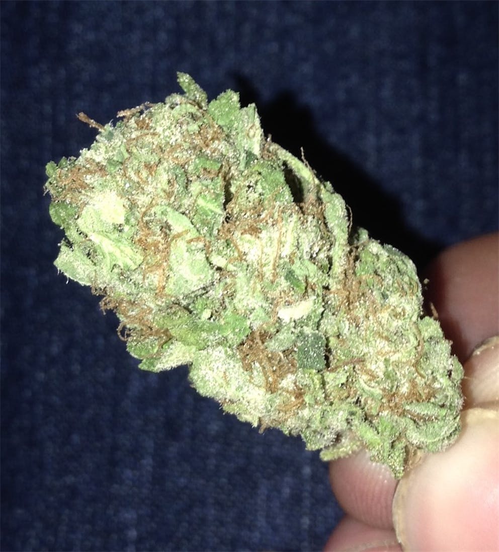 Photos of Caramel Candy Kush Weed Strain Buds Leafly