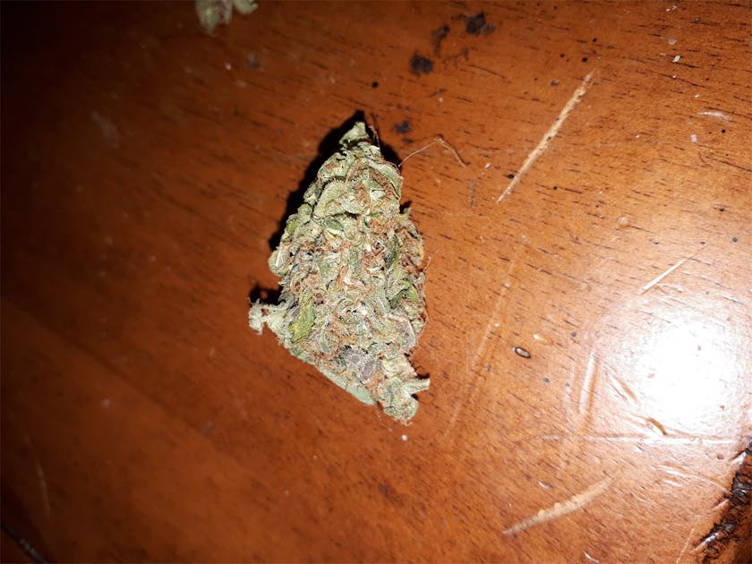 Photos of Caramella Weed Strain Buds Leafly