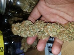 User uploaded image of Caramella