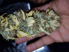 User uploaded image of Caramella