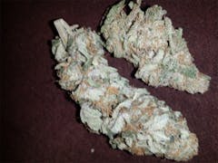 User uploaded image of Caramelo