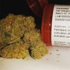 User uploaded image of Caramelo