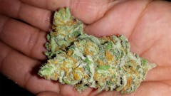 User uploaded image of Caramelo