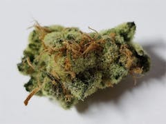 User uploaded image of Carl Sagan