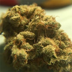 User uploaded image of Casey Jones