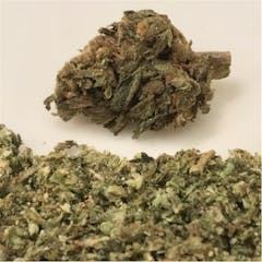 User uploaded image of Cat Piss