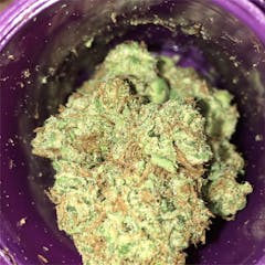 User uploaded image of Cat Piss