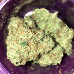 User uploaded image of Cat Piss