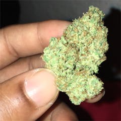 User uploaded image of Cat Piss