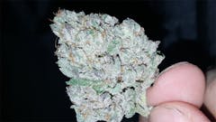 User uploaded image of Cataract Kush