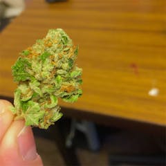 User uploaded image of Catfish