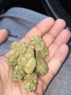 User uploaded image of Catfish