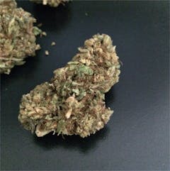 User uploaded image of Critical Cure
