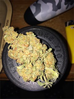 User uploaded image of CBD Kush