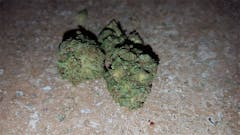 User uploaded image of CBD Kush