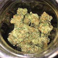 User uploaded image of CBD Shark