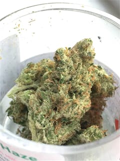 User uploaded image of Cerebro Haze