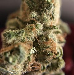 User uploaded image of Chairman Chem Sou