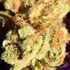 User uploaded image of Chairman Chem Sou