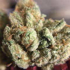 User uploaded image of Chairman Chem Sou