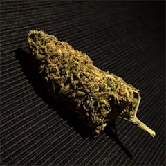 User uploaded image of Champagne Kush