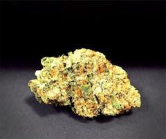 User uploaded image of Champagne Kush