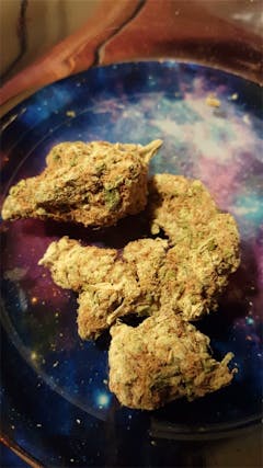 User uploaded image of Champagne Kush