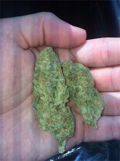 User uploaded image of Champagne Kush