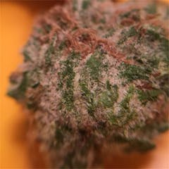 User uploaded image of Charlie Sheen