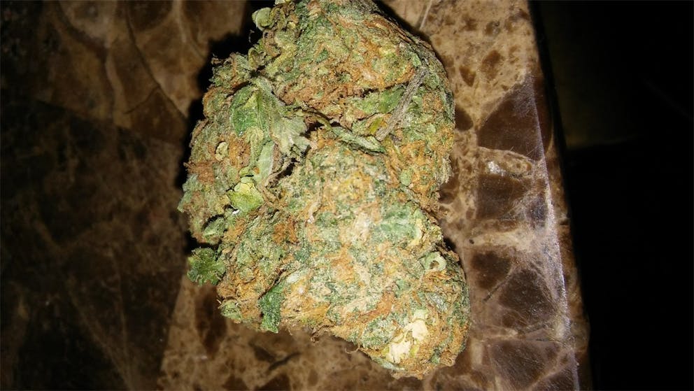Photos of Charlie Sheen Weed Strain Buds Leafly