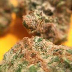 User uploaded image of Charlie Sheen