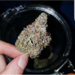 User uploaded image of Charlie Sheen