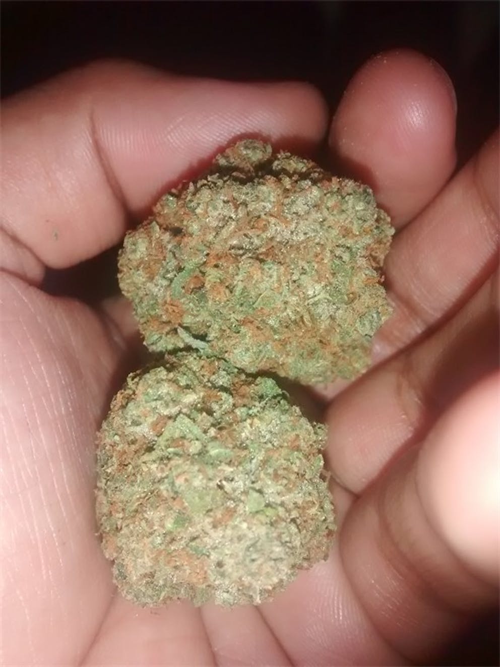 Photos of Charlie Sheen Weed Strain Buds Leafly