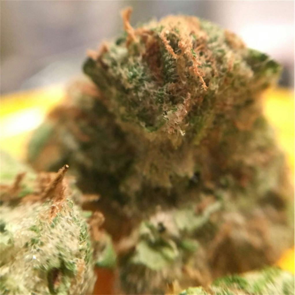 Charlie Sheen aka Charlie Sheen OG Weed Strain Information Leafly