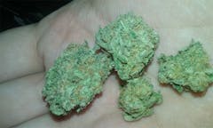 User uploaded image of Charlotte's Web