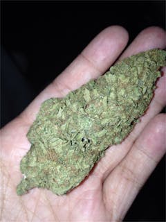 User uploaded image of Charlotte's Web